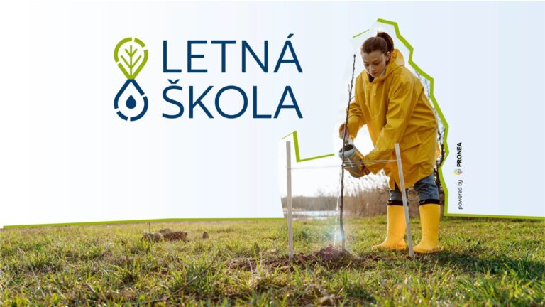 Letná škola – vizuálna identita